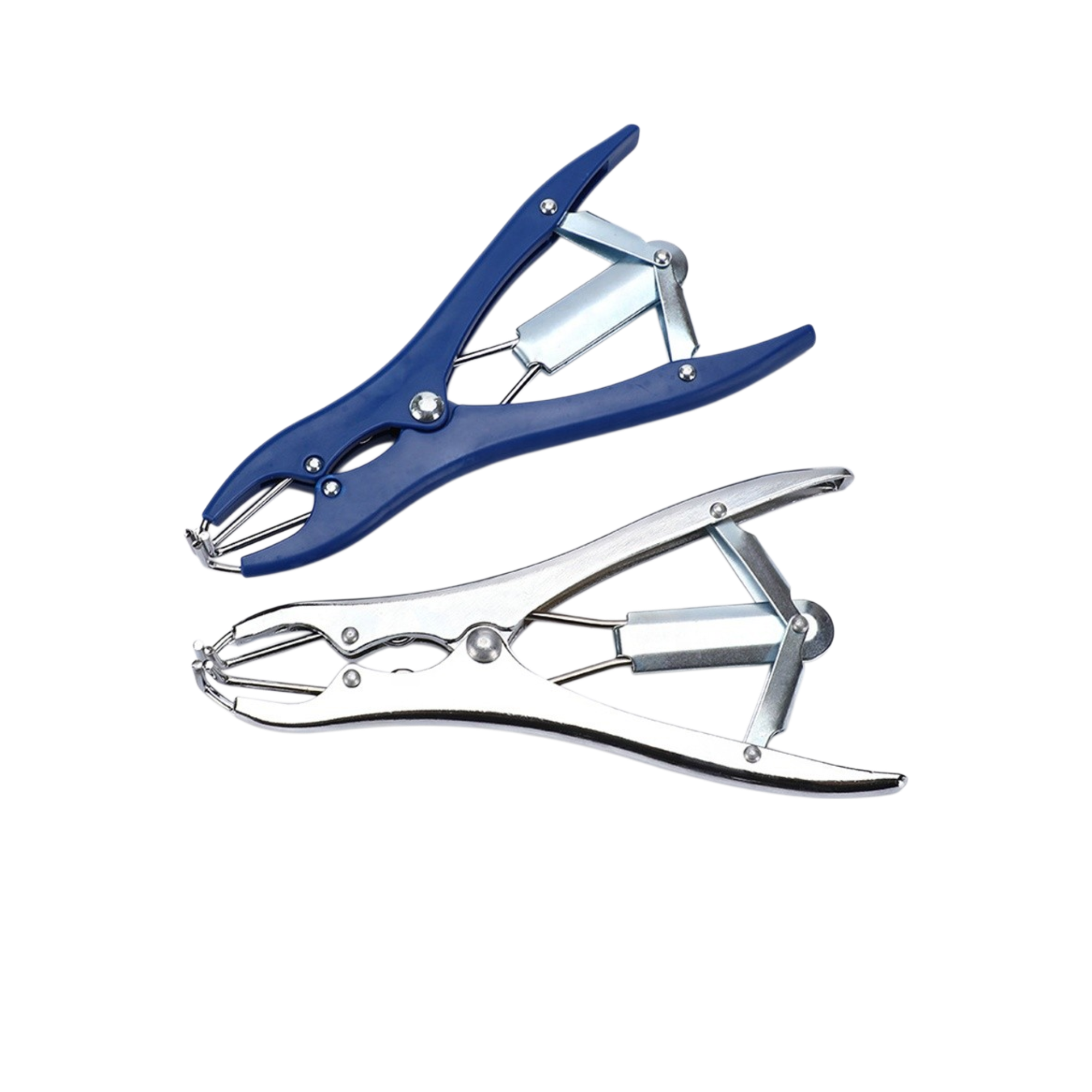 Balloon Forceps (Confetti Filler Tool)